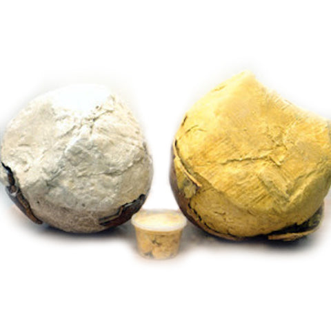 Unrefined Raw Shea Butter 32oz/2 lb.(recyclable container)